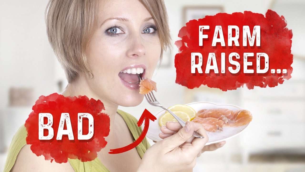 Could Farm Raised Salmon Make You Fat Dr. Berg
