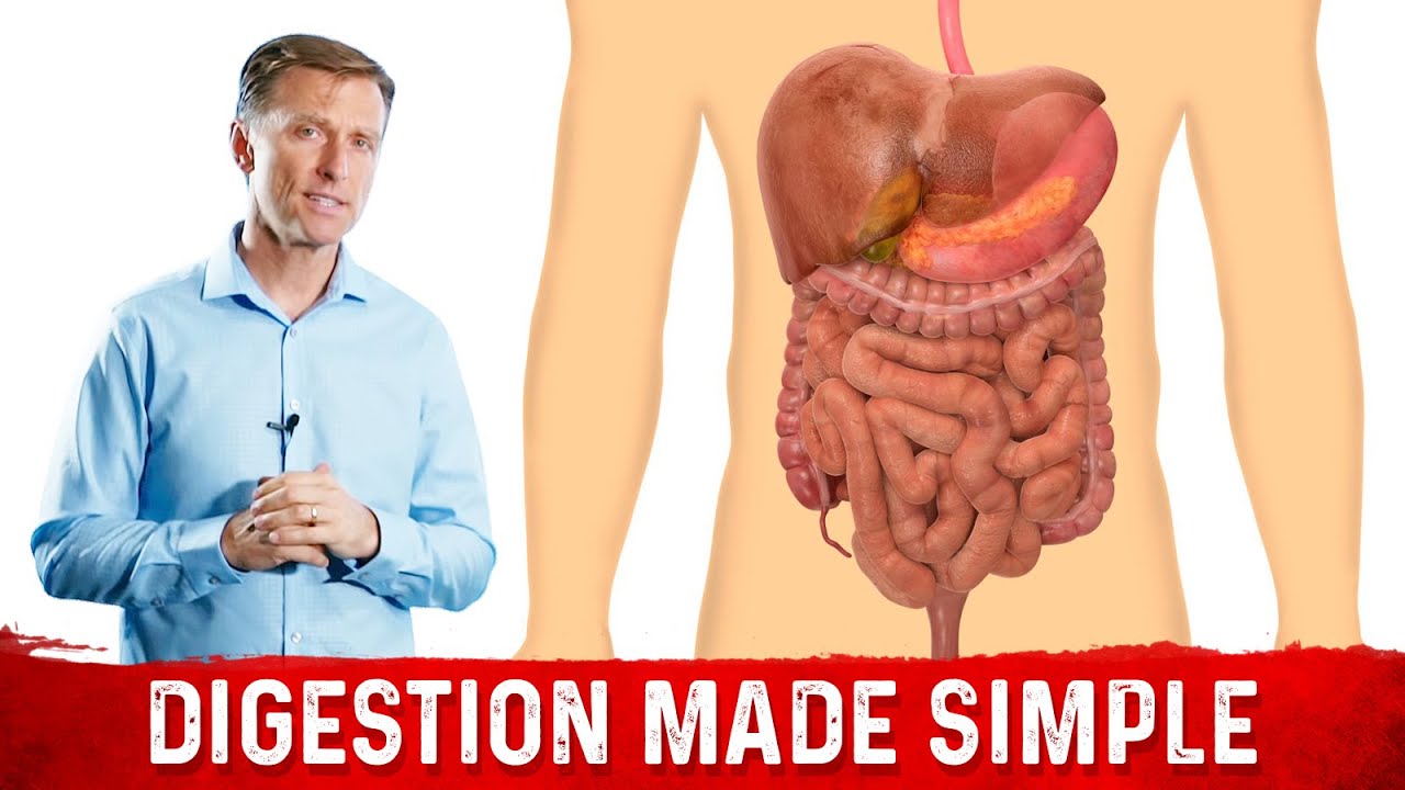 Digestion Made Simple | Healthy Keto™ Dr. Berg