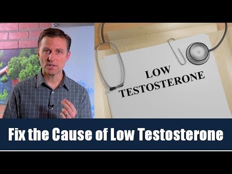 Fix the Cause of Low Testosterone| Dr. Berg