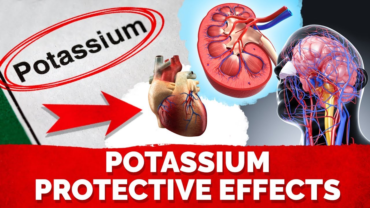 High Potassium Diet Protects Your Kidneys