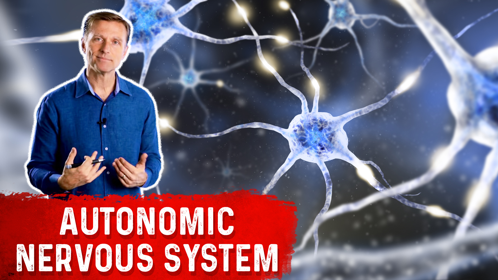 how-fasting-influences-the-autonomic-nervous-system-healthy-keto-dr