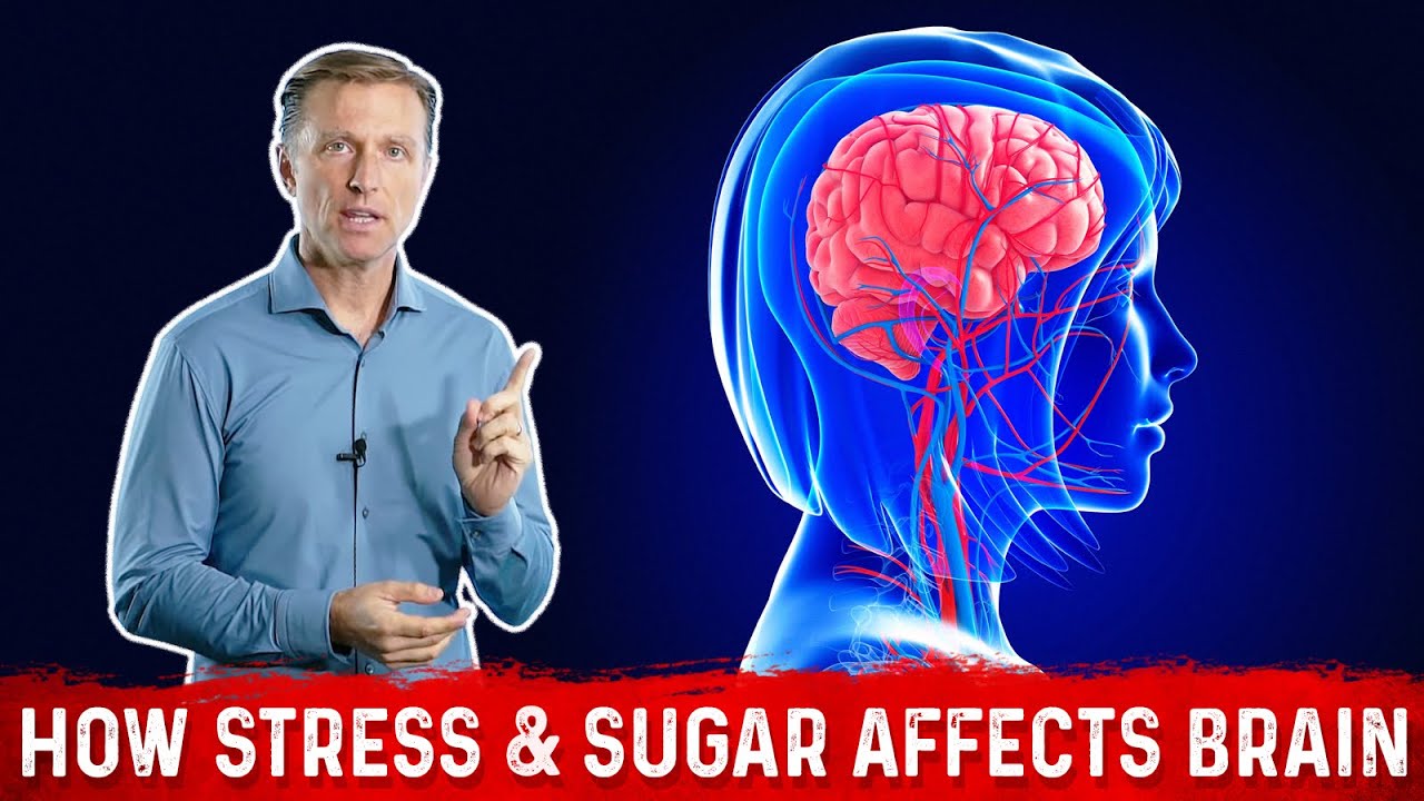How Stress and Sugar Affect Your Brain Dr. Berg
