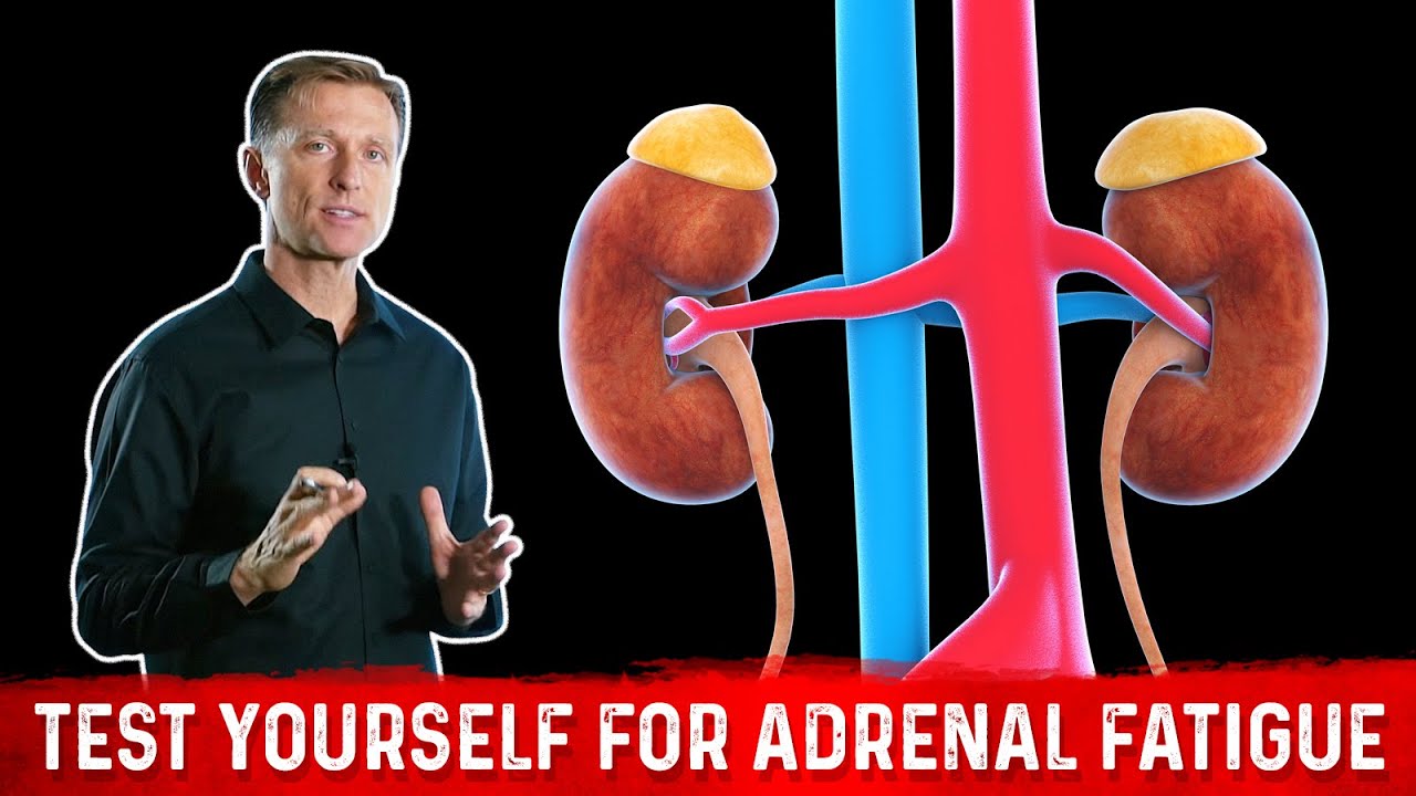 how-to-test-for-adrenal-fatigue-healthy-keto-dr-berg