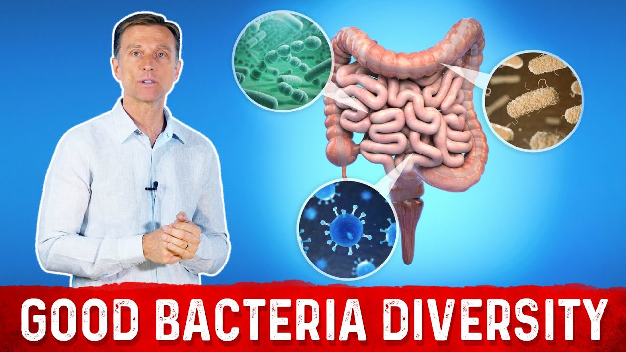 How To Increase Your Gut Bacteria Diversity