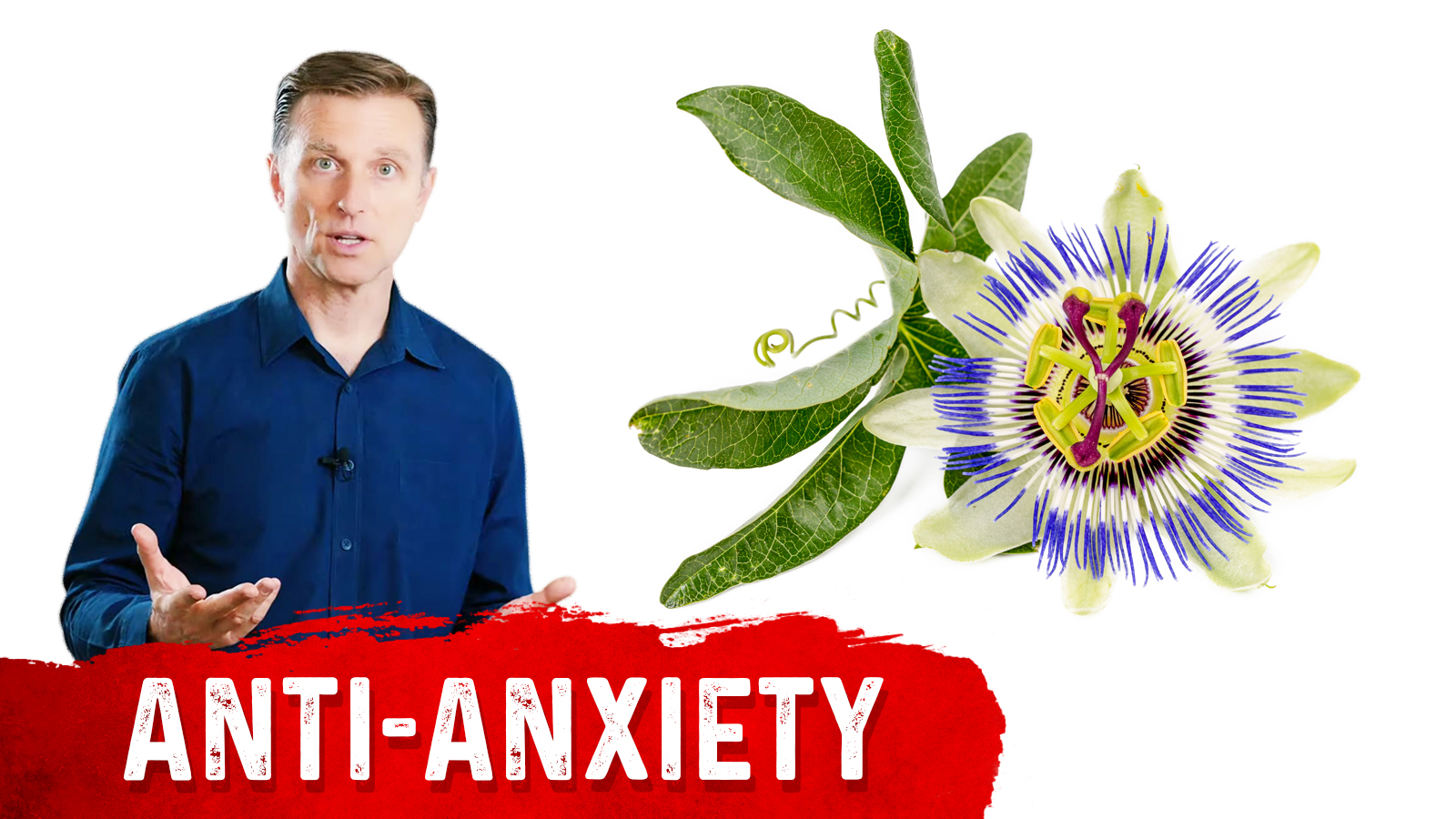 Passion Flower as a Natural Sedative Healthy Keto™ Dr. Berg