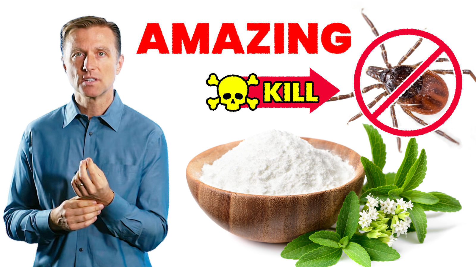 Stevia Kills Lyme Pathogen Healthy Keto™ Dr. Berg