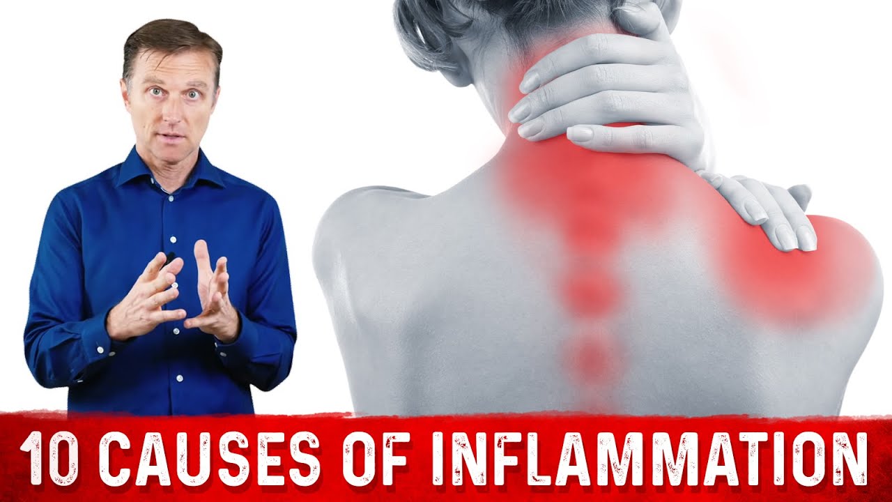 The 10 Causes Of Inflammation| Dr. Berg