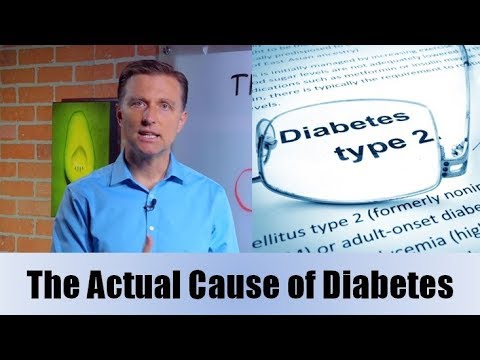 The Actual Cause of Diabetes| Dr. Berg