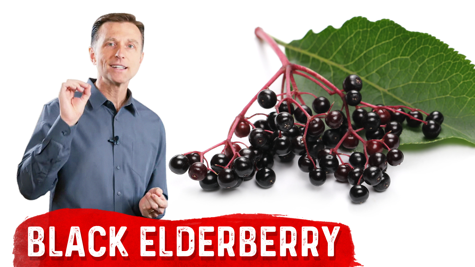 The Amazing Benefit Of Black Elderberry | Healthy Keto™ Dr. Berg