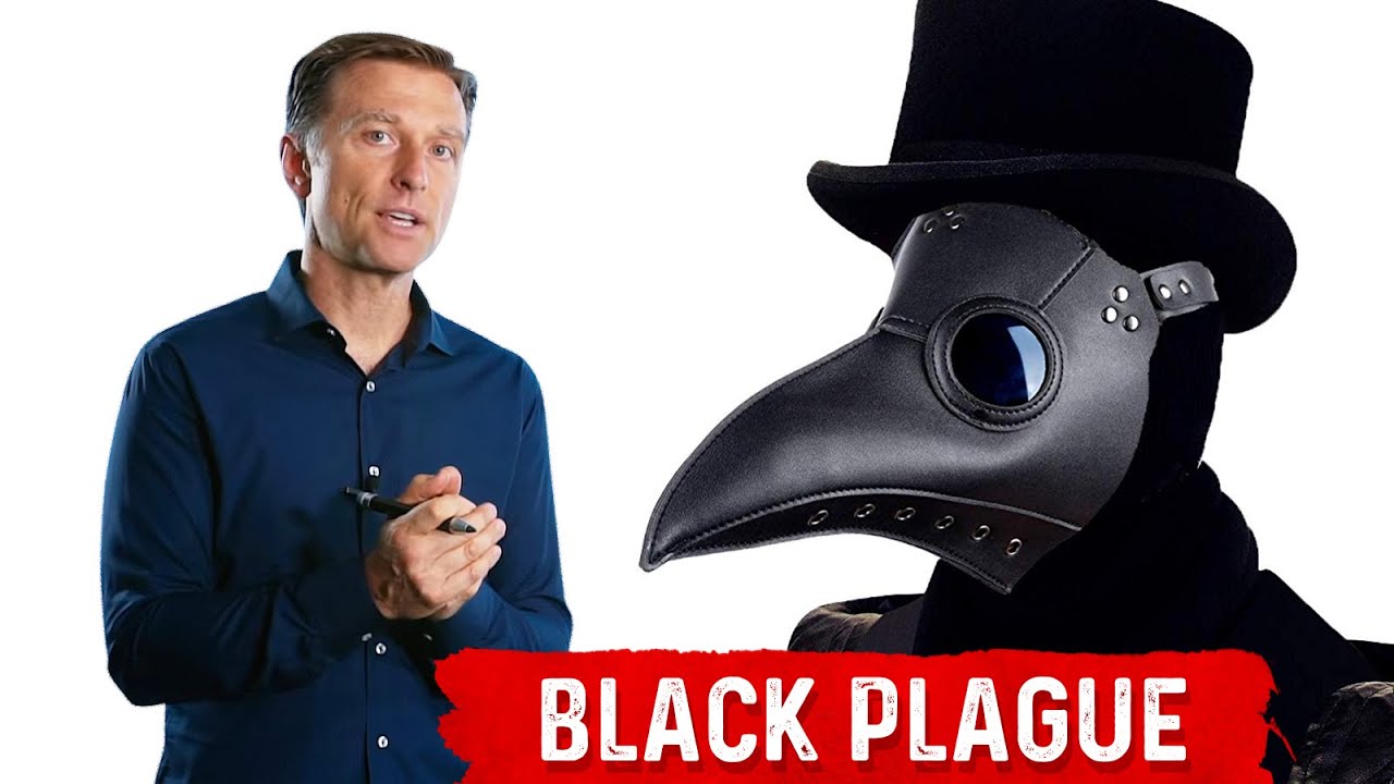 Black Plague Interesting Facts