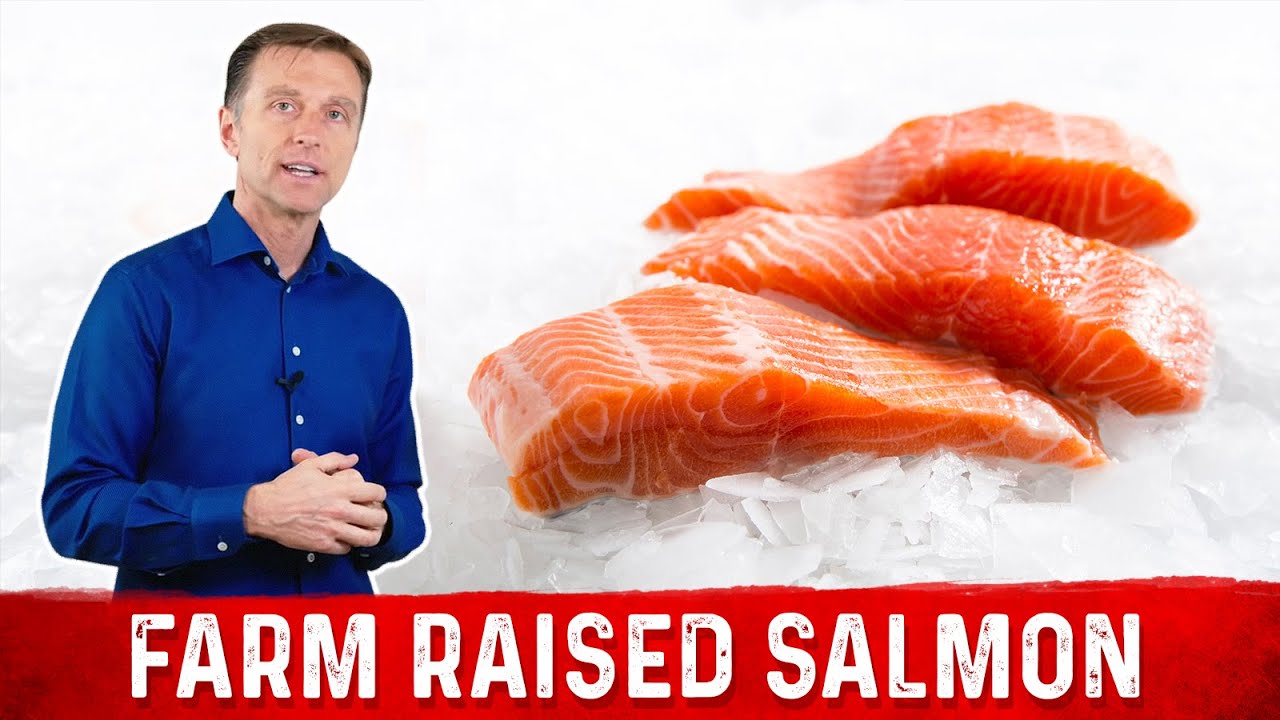 FarmRaised Salmon vs Wild Caught Salmon Critical Difference