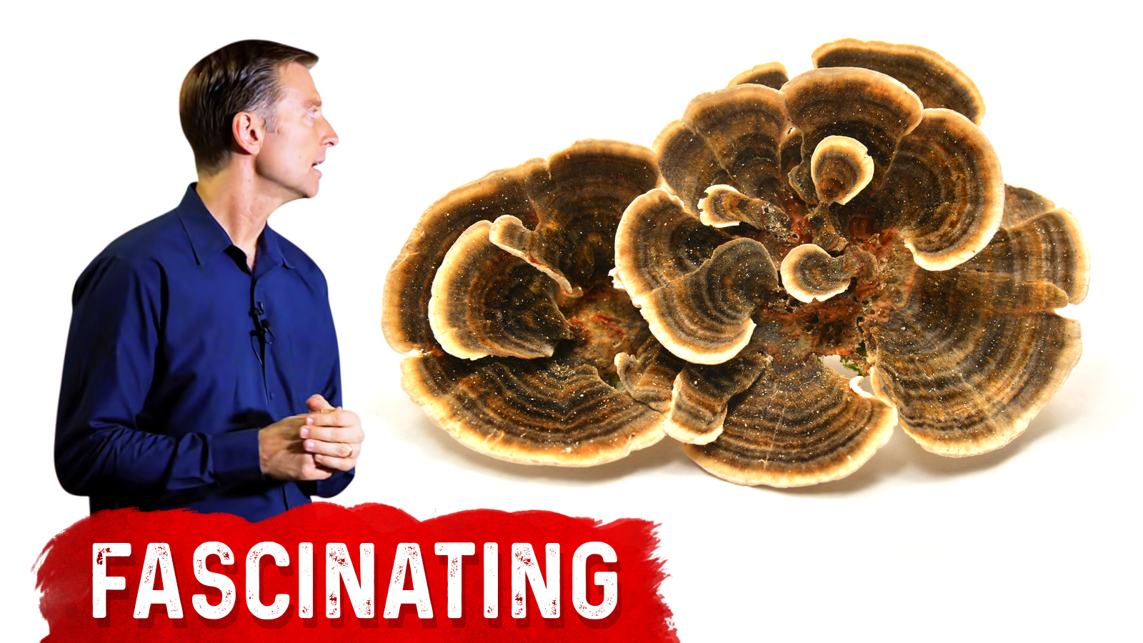 Turkey Tail Mushroom and Cancer Healthy Keto™ Dr. Berg