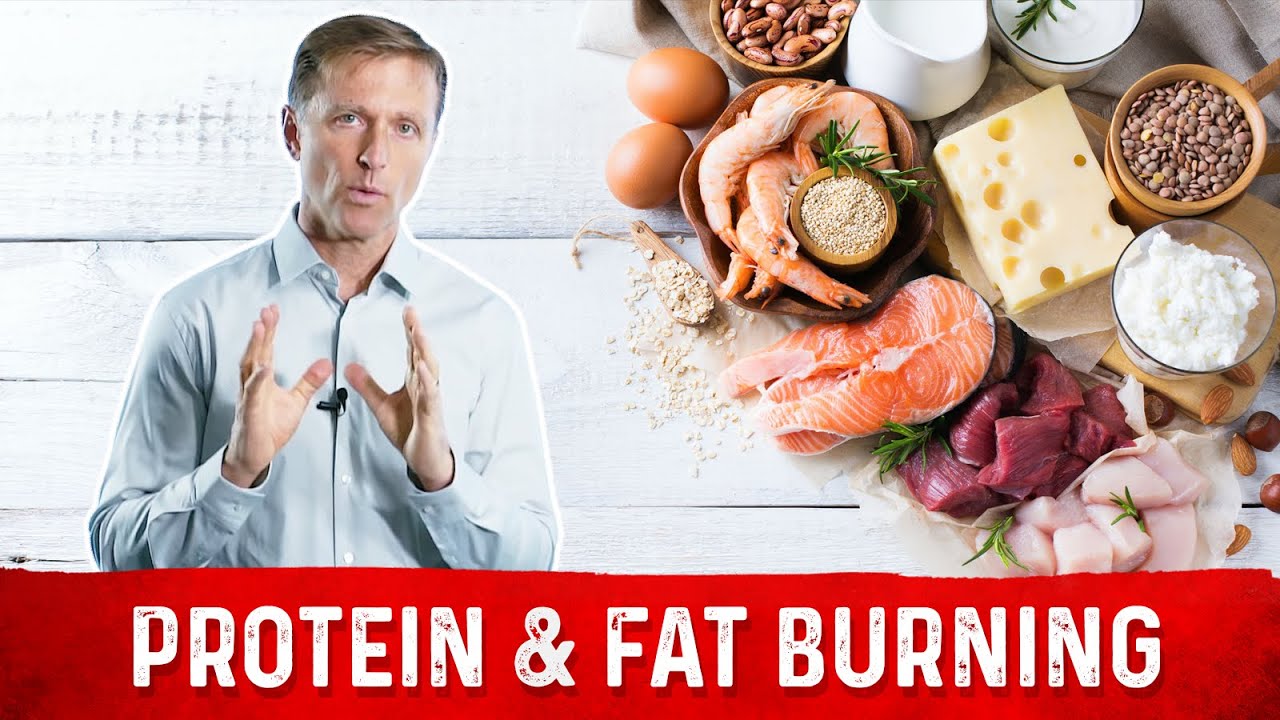 Understanding Proteins Role In Fat Burning 7964