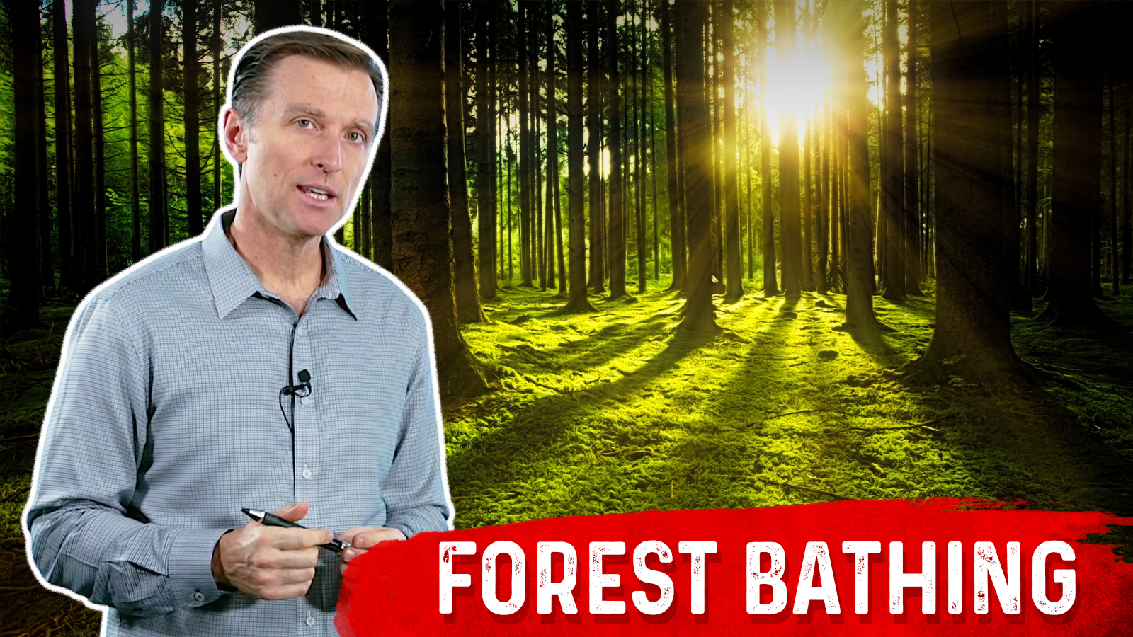 Use Forest Bathing for Immune Boosting