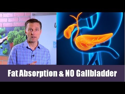 What Happens to Fat Absorption WITHOUT a Gallbladder| Dr. Berg