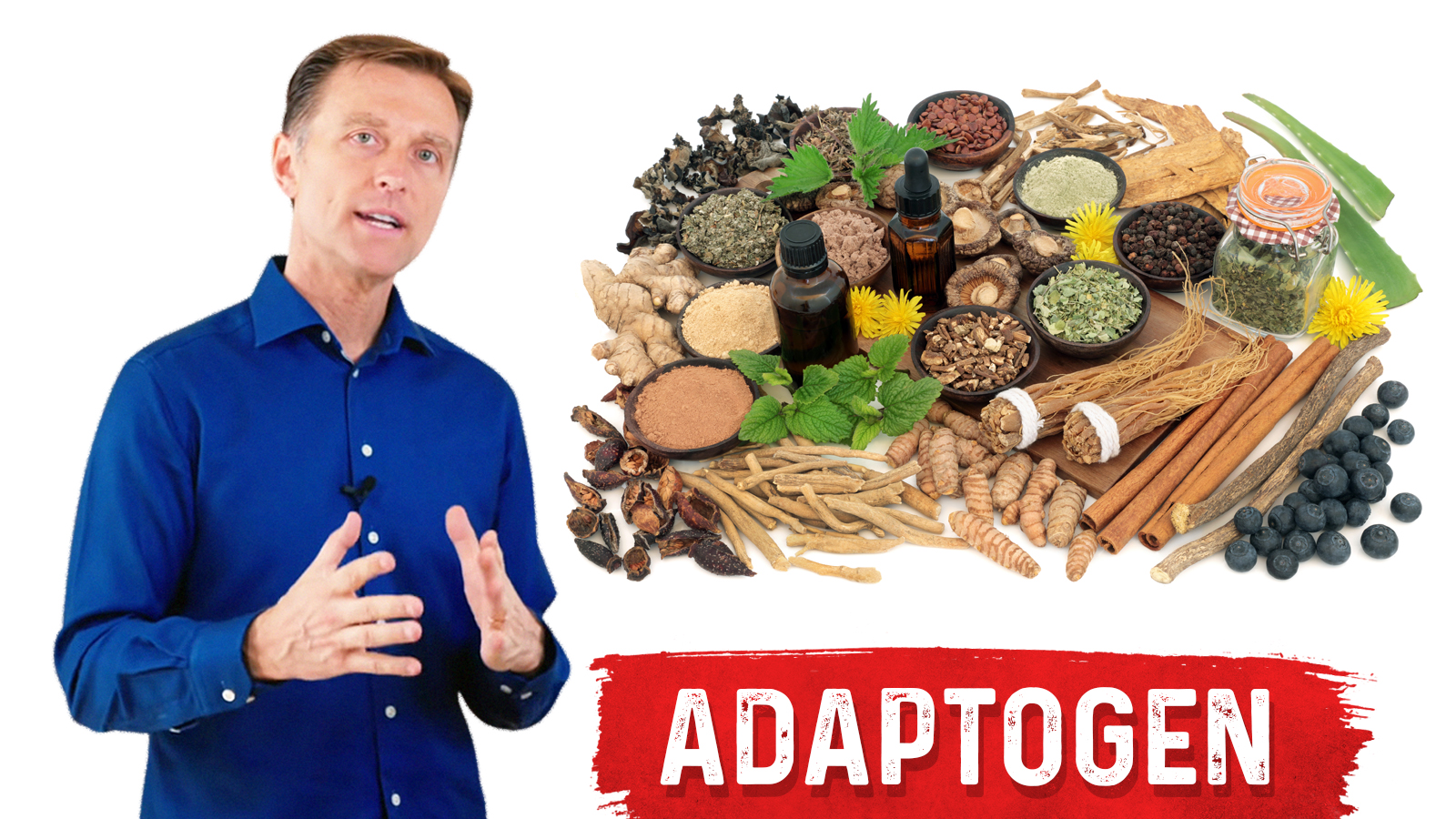 What Is An Adaptogen? | Healthy Keto™ Dr. Berg