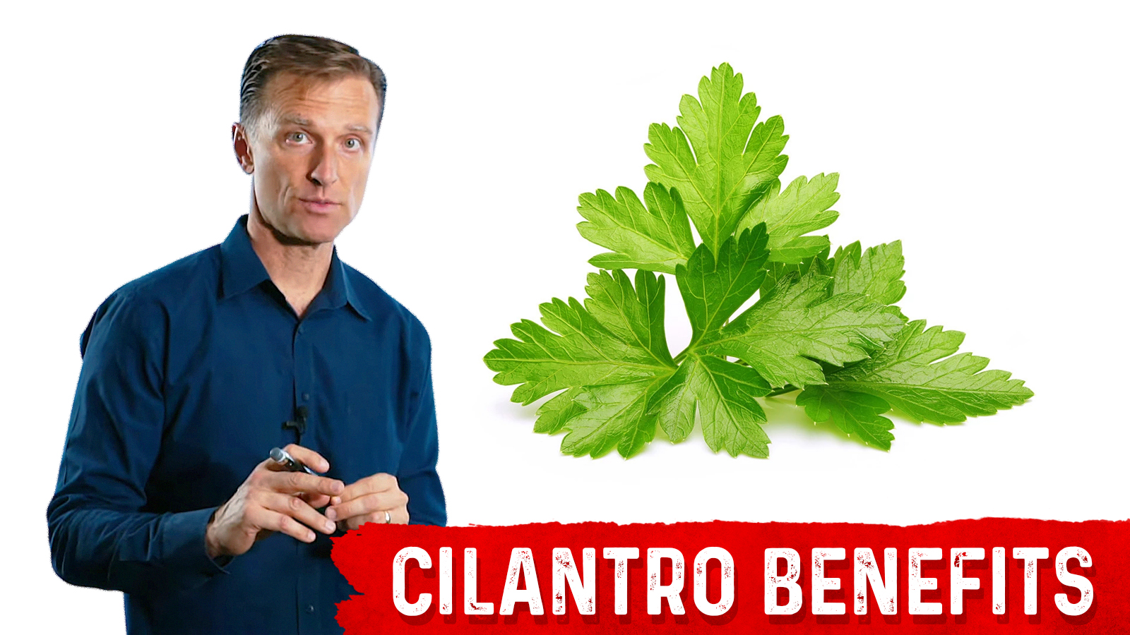 Cilantro Benefits 8 Reasons to Eat More Cilantro Dr. Berg