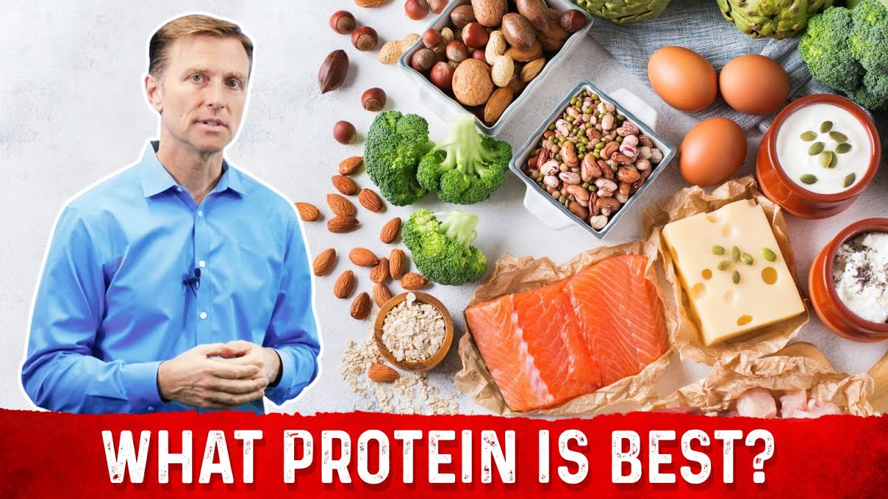 What Protein Is The Best| Dr. Berg