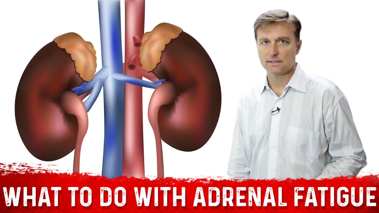 What To Do If You Have Adrenal Fatigue Dr Berg