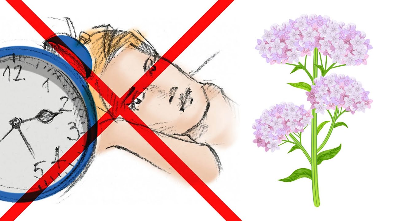 Valerian Root Should Not Be Taken For Sleep Healthy Keto邃 Dr Berg Valerian Root Should Not Be Taken For Sleep Healthy Keto邃 Dr Berg