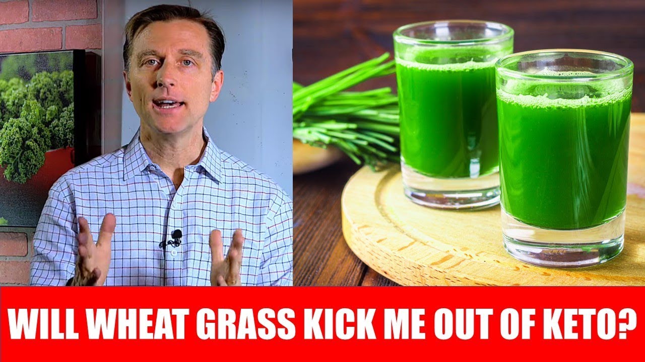 Will Wheatgrass Juice Powder Knock Me Out of Ketosis Dr. Berg