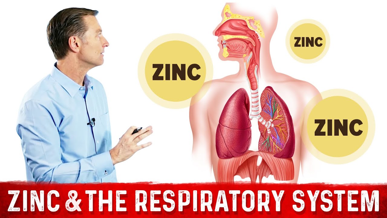 Is Zinc Good For Your Lungs?