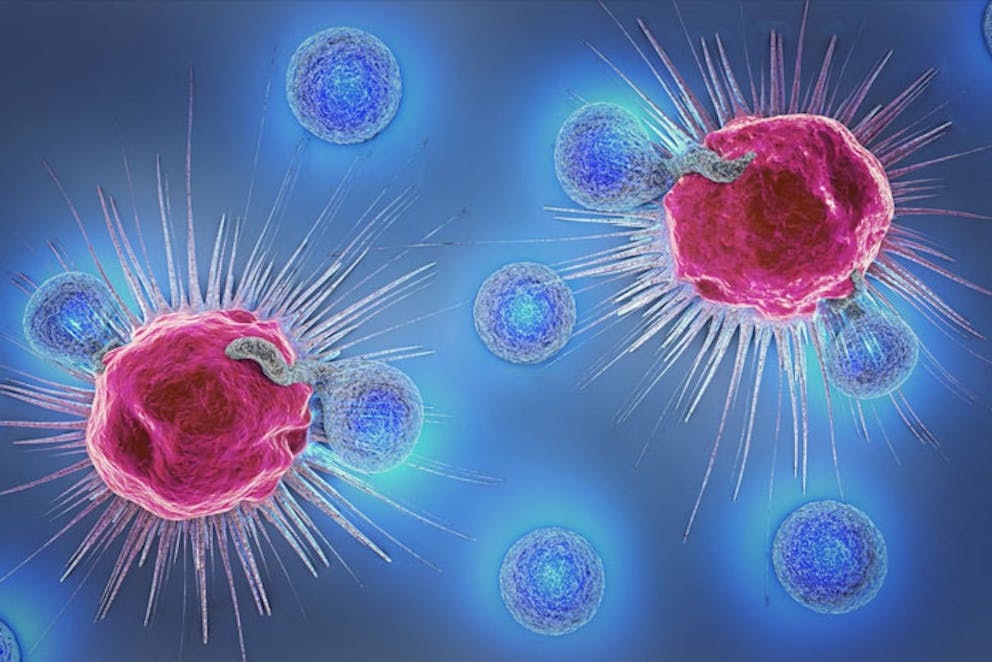 3D illustration of natural killer cells, immune system anatomy, fight viruses.