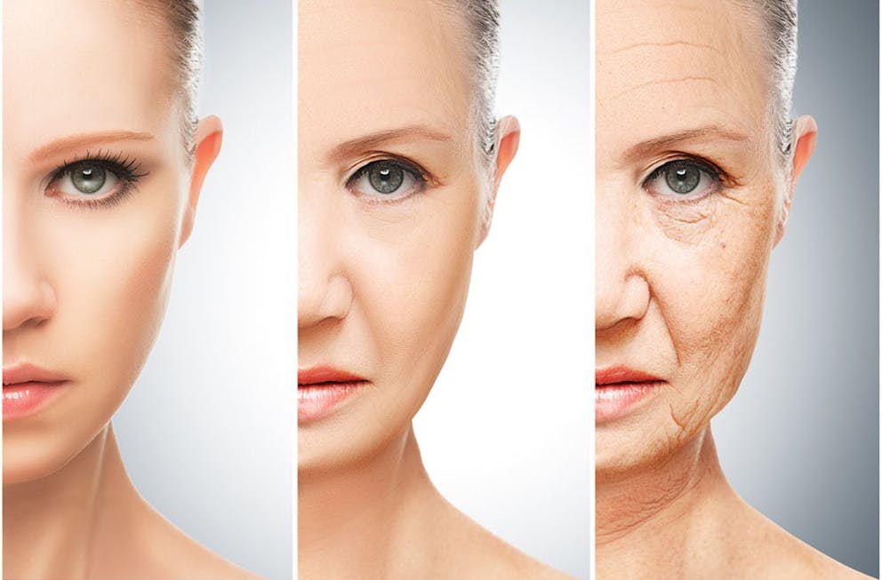 Aging concept, with three images of woman’s face, one young, one middle age, one old with wrinkles.