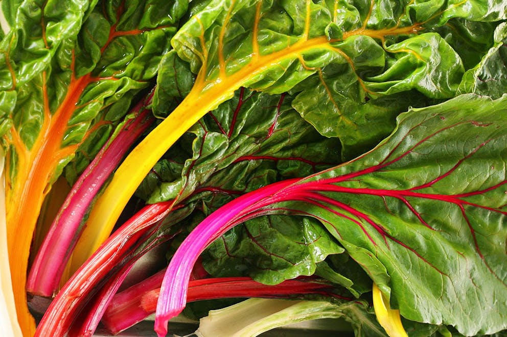 Swiss chard rainbow chard leaves in a big pile with different colors.