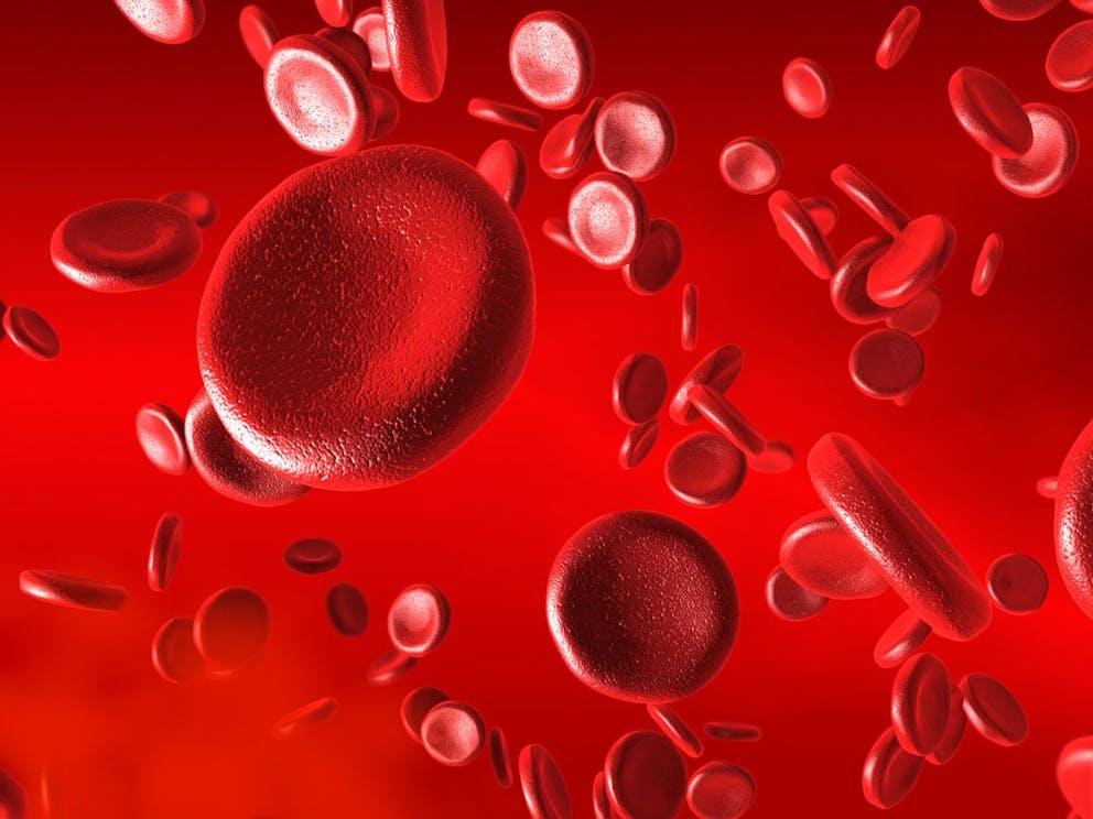 Illustration of red blood cells floating around in blood on red background.