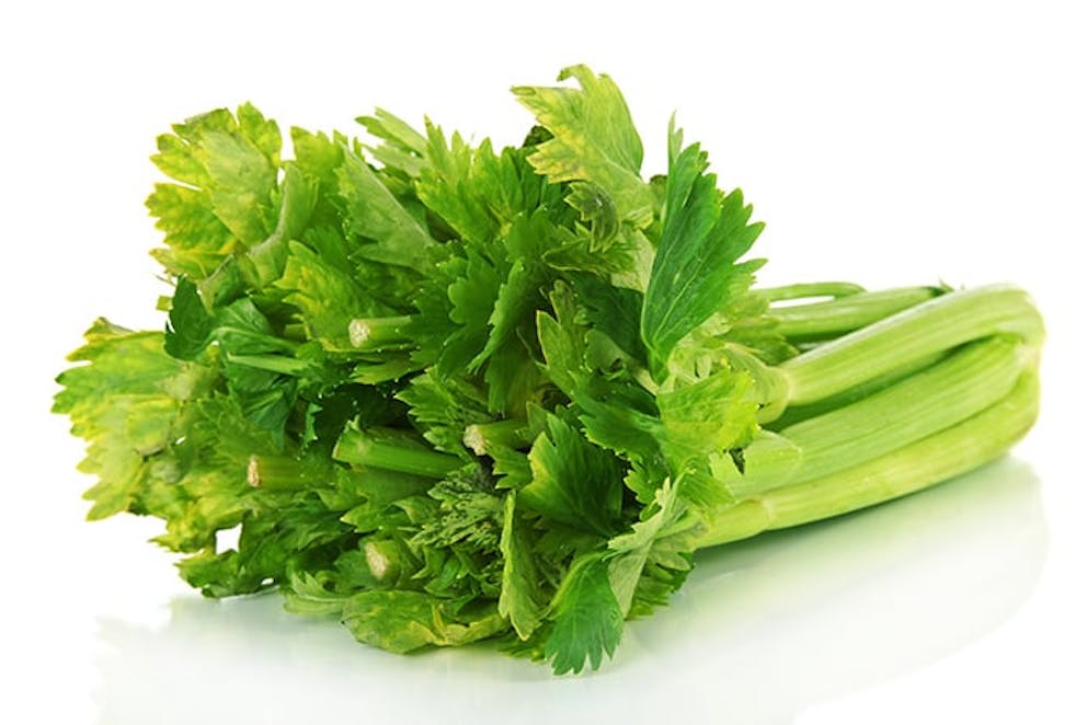 a photo of a bunch of fresh celery