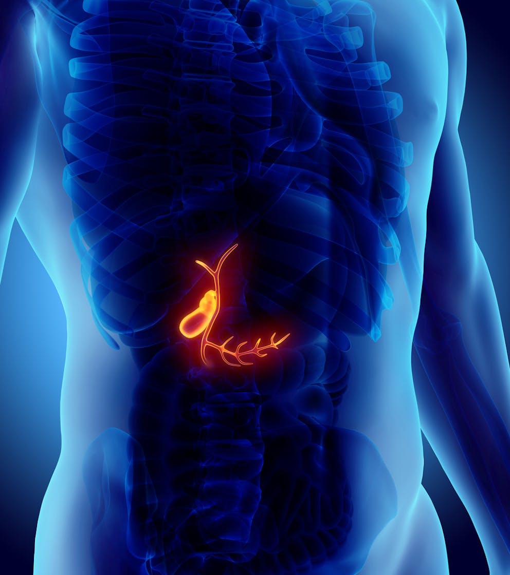 3D illustration of male body with gallbladder highlighted in orange, x-ray concept.