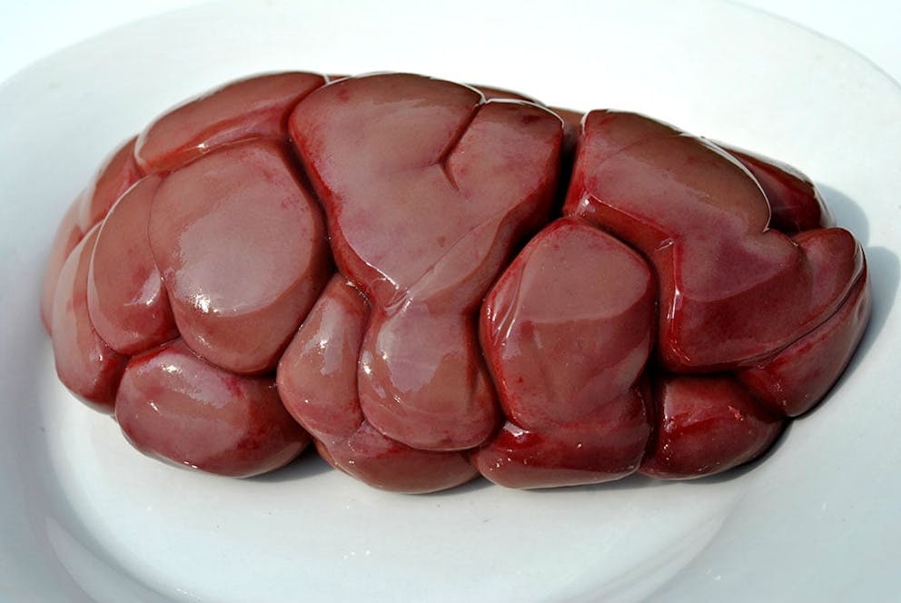 A picture of a beef kidney