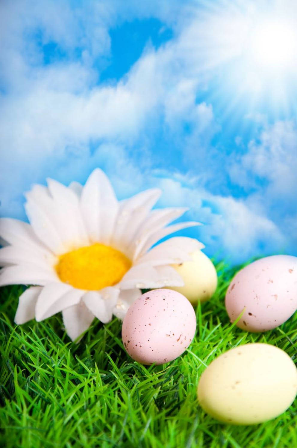 A picture of eggs on grass under blue sky