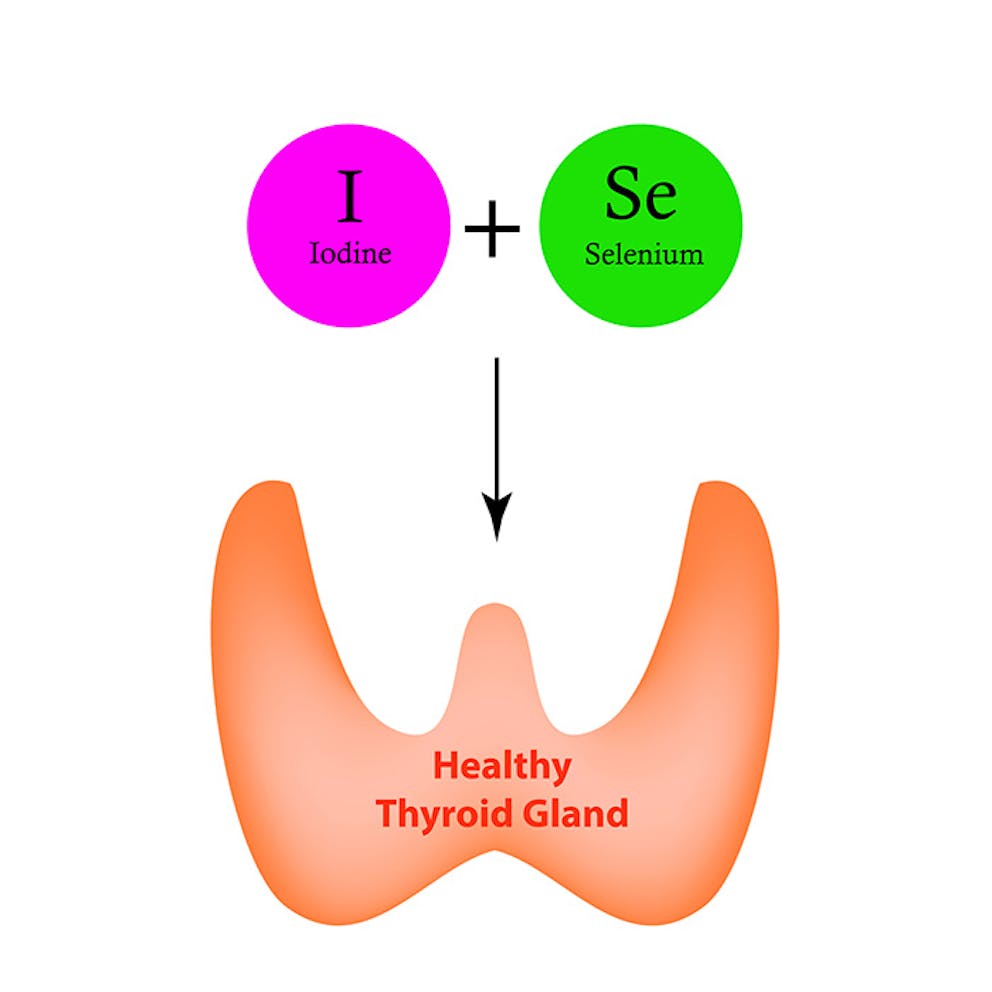 Selenium and iodine both needed for a healthy thyroid