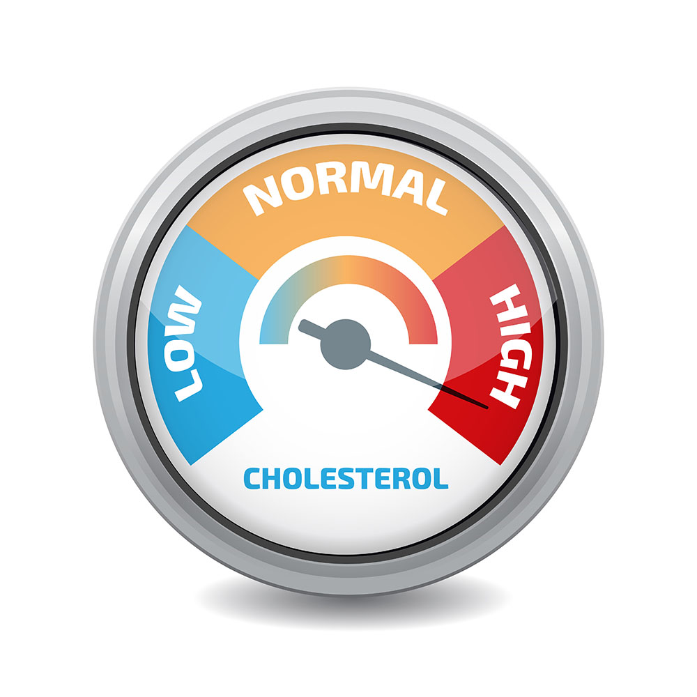 a picture of a cholesterol meter showing low normal high
