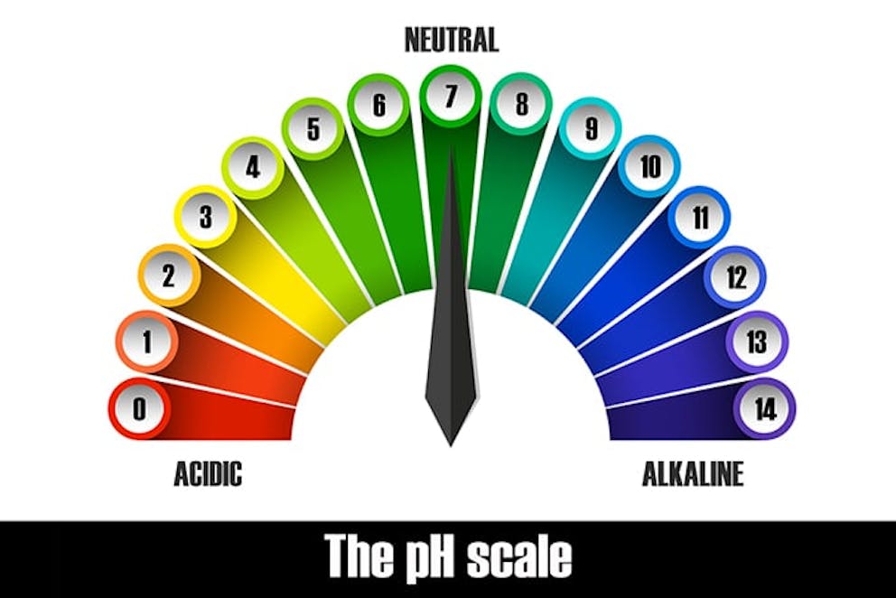 the Ph scale