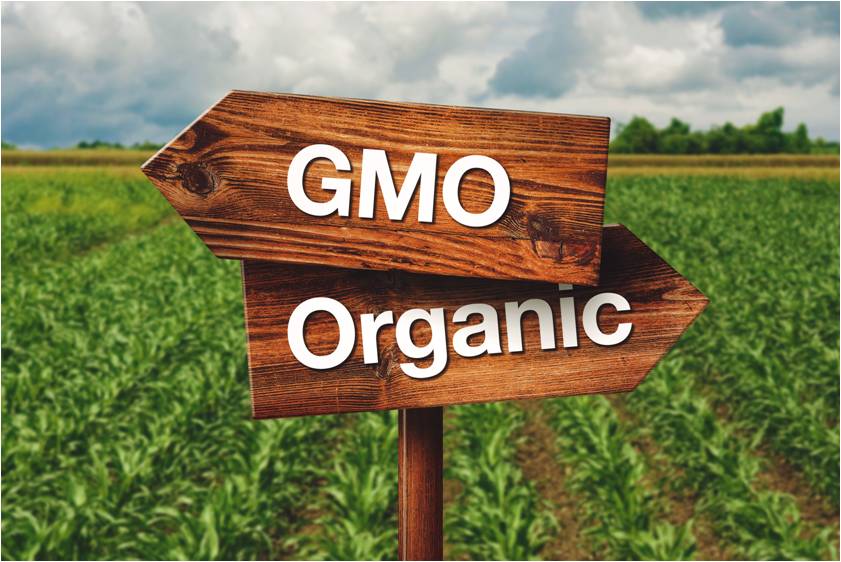 GMO vs. Organic