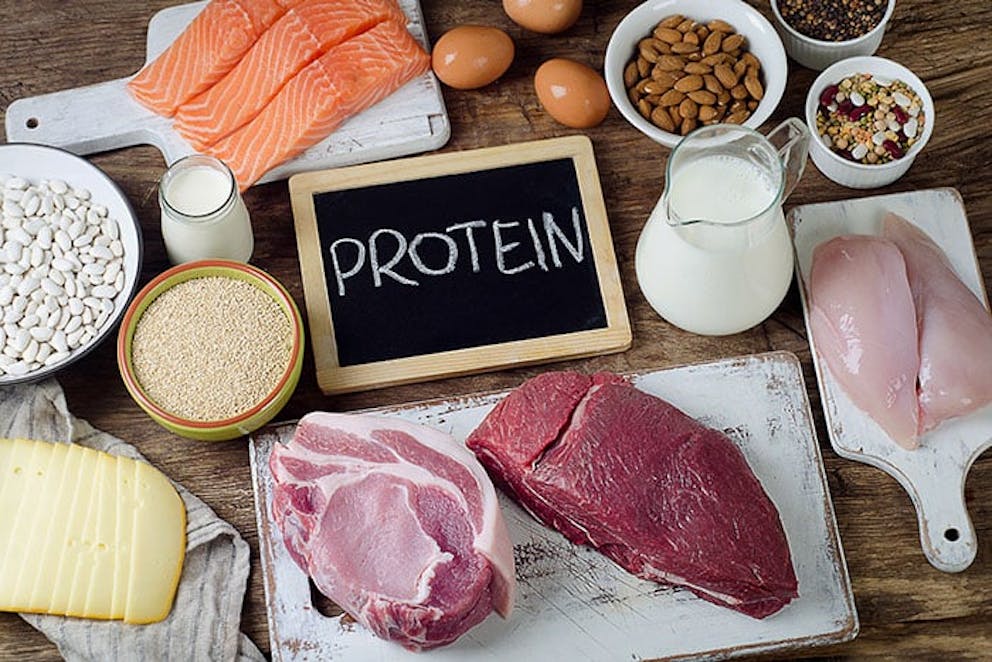 a sign reading protein surrounded by meat poultry and fish