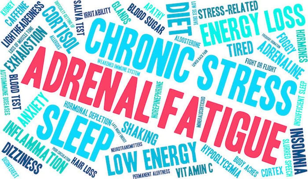 Adrenal fatigue, stress, and cortisol collage | Will Adrenal Fatigue Cause Weight Gain?