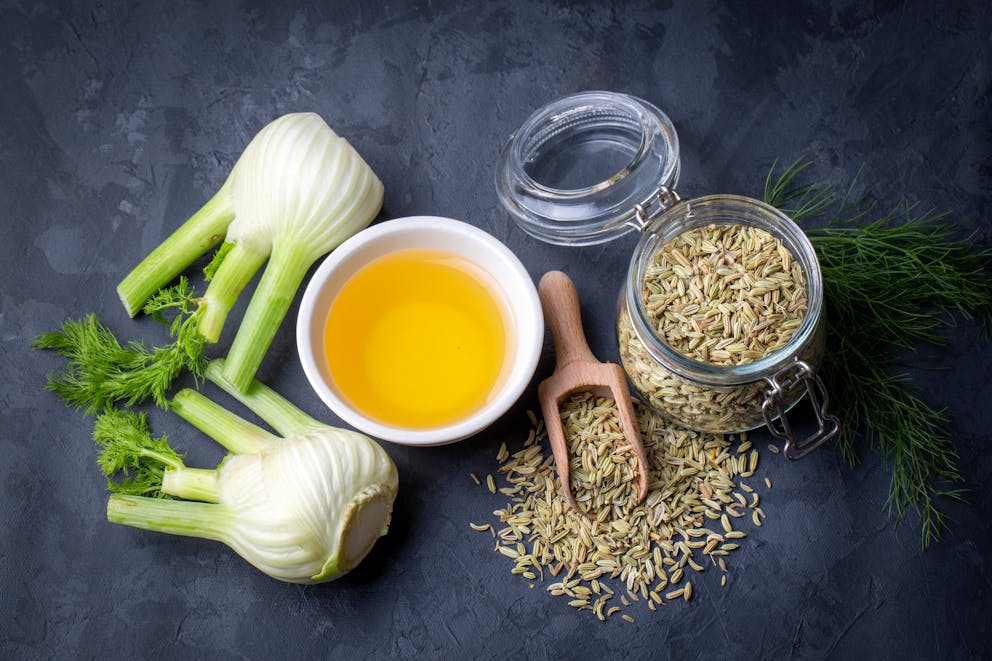 Fennel plant essential oil seed