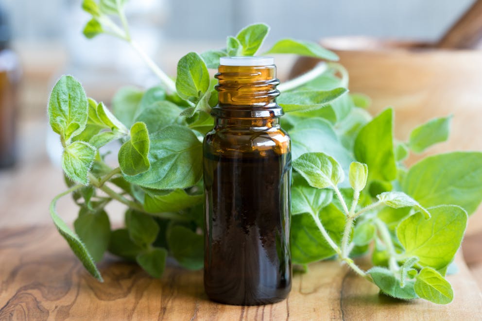14 Amazing Oregano Oil Benefits Dr. Berg