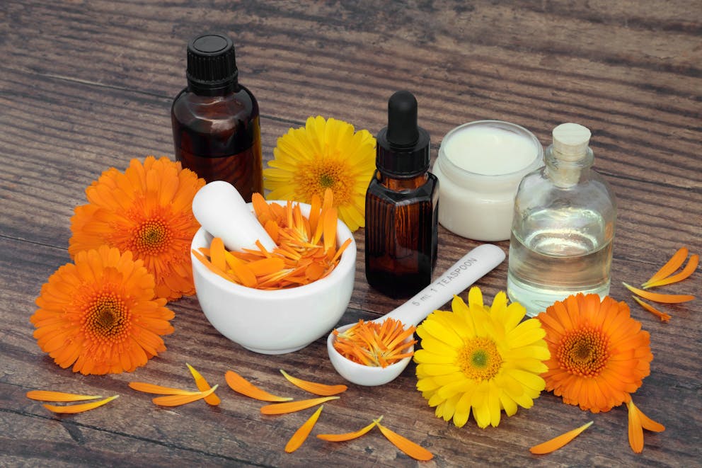 Calendula flowers for aromatherapy skincare with essential oil bottles and ointment.