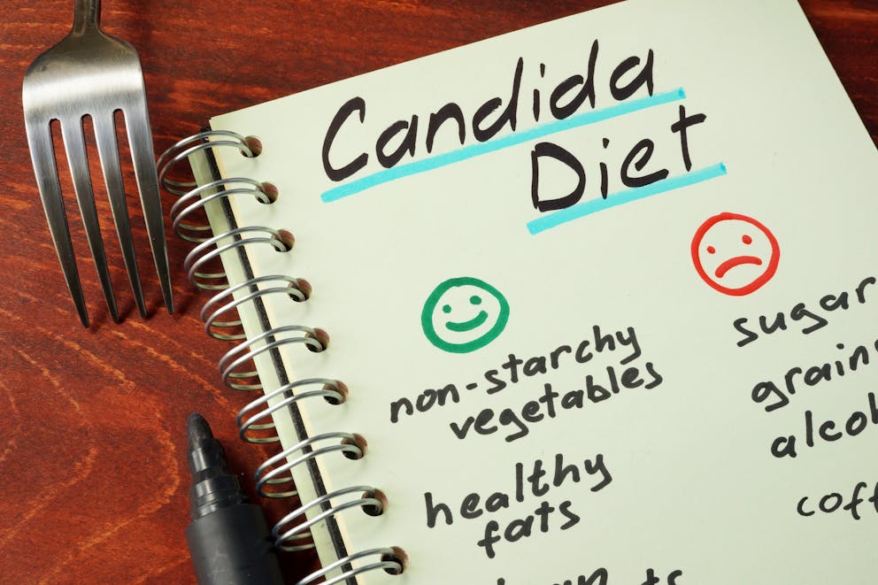 Candida diet plan notepad