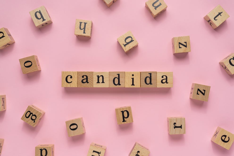 Candida word on wooden blocks