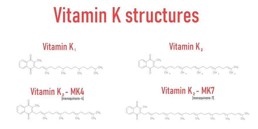 Vitamin K1 vs K2: What's the Difference? | Healthy Keto™ Dr. Berg