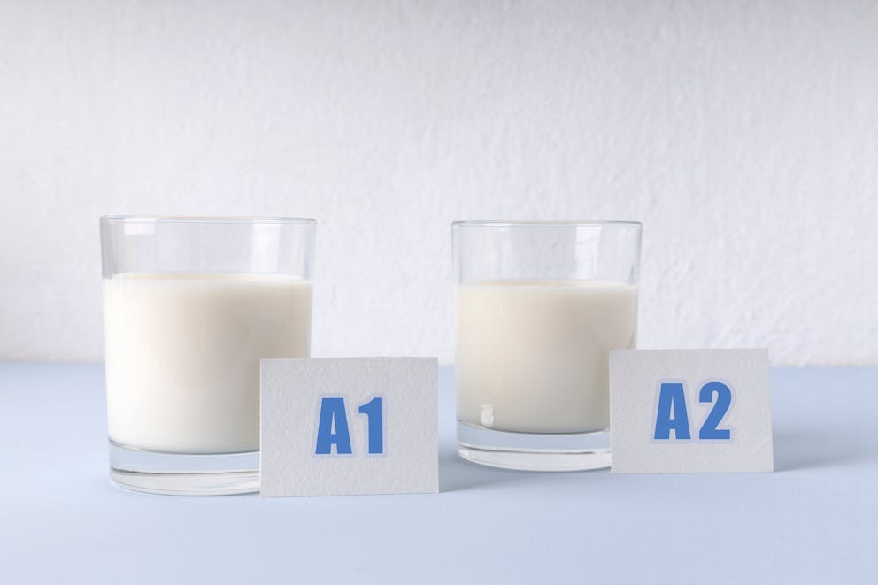 A1 and A2 milk