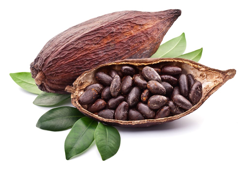 Cocoa pod with beans