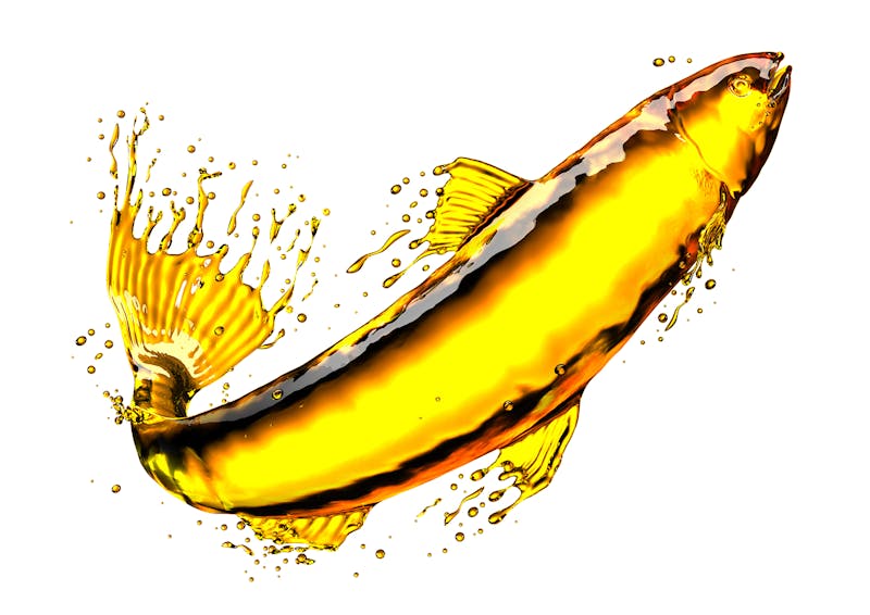 What Helps Vitamin D Absorption Everything You Need To Know what-helps-vitamin-d-absorption-everything-you-need-to-know