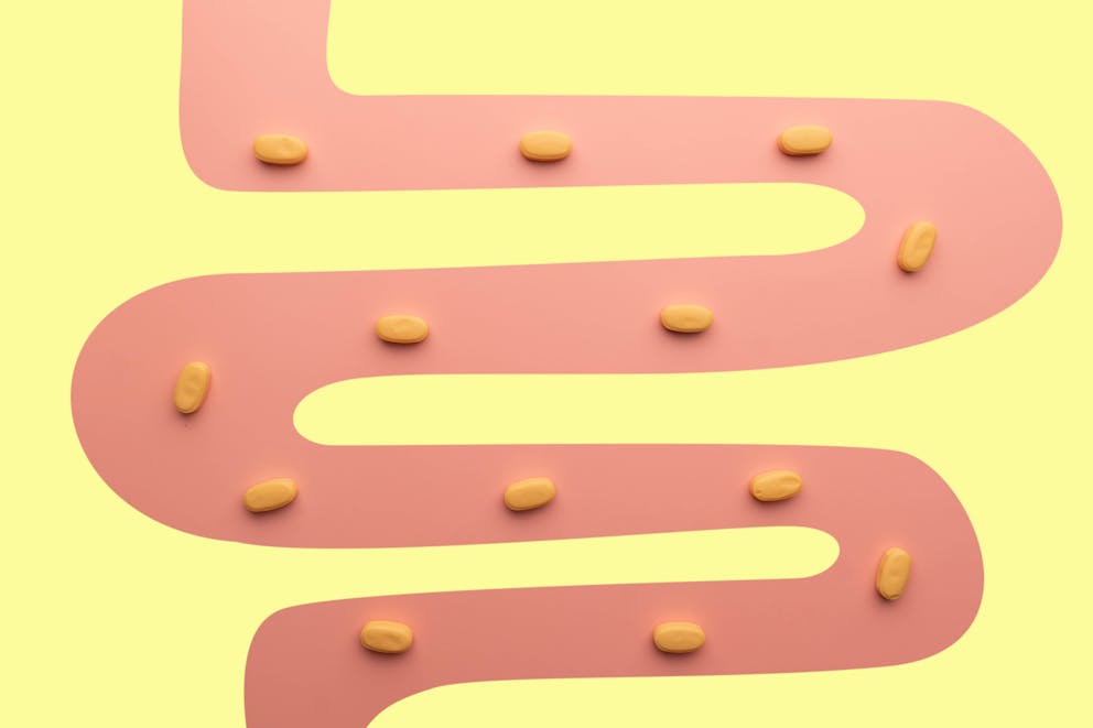 Probiotic pills on digestive tract illustration